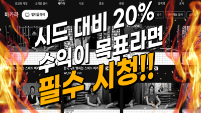 투패턴 시스템 (기본)