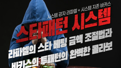투패턴 시스템 (라파엘)