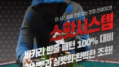 스팟 시스템