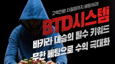BTD 시스템