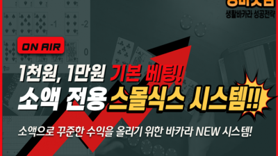 스몰식스 시스템
