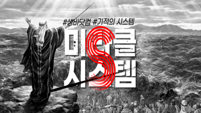 미라클 시스템 (S)