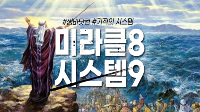미라클 시스템 (89)