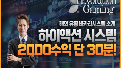 하이 액션 시스템 (개념)
