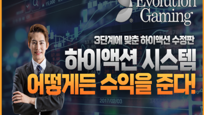 하이 액션 시스템 (개정-1부)